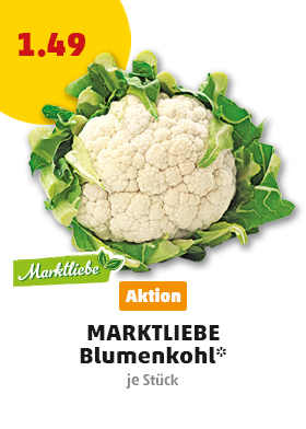 Aktuelle Angebote