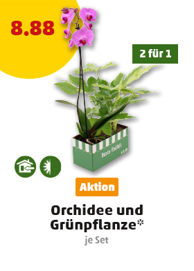 Aktuelle Angebote