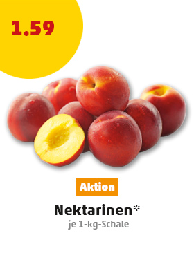Aktuelle Angebote